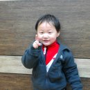 황채호 Daum카페
