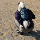 날아라슈퍼 이미지