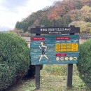금오카 네이버블로그