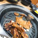 도세기집 이미지