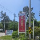 들꽃향기 | 에델바이스 스위스 근처 맛집 들꽃향기 후기!!