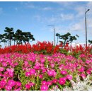 설악해맞이공원 이미지