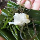 광안리 진미횟집 이미지