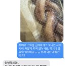 멍멍하누