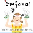 여름철 모기물림 예방하려면? 이미지