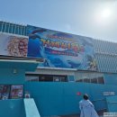 씨월드 | 거제씨월드 아이와 방문 후기, 벨루가 돌고래 공연 체험 추천