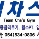 팀차스