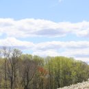 늘푸른농장 이미지