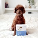 곰곰동물병원 이미지