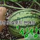 순로컬푸드 이미지