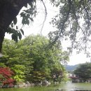 변호사김민정법률사무소 네이버블로그