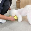 에브리 뽀송 이미지