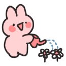 일향플라워 이미지