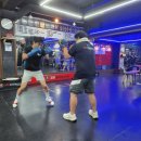 용인대SM복싱클럽 본관 이미지