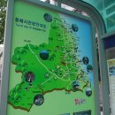 독일보청기 앞 보도 이미지