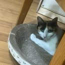 오리산단8로 | 나무의 일기 75