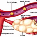 이수한의원 이미지