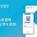 클레어
