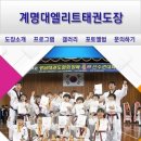 계명대 엘리트 태권도장 이미지