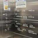 도립미술관 | 전남 도립 미술관 무료 입장 관람 후기 (주차장/휴관일)
