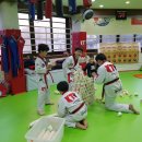 서오태권도 이미지