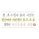 네일리프(Nail_Leaf)