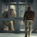 (주)고릴라코리아 이미지