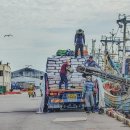 소룡의원 이미지