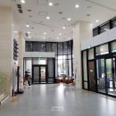 강남해안로 이미지