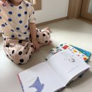 요즘 매일 읽는 4세 최애 그림책📚 블루래빗 토끼책방 후기