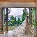 클라라웨딩(대구점) : 한주❤︎유리 wedding day