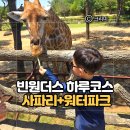 하루 | 남호이안 빈펄리조트 숙박권 포함 빈원더스｜사파리 워터파크 하루 코스 후기