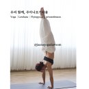 다움요가 이미지