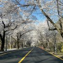 GS25 설악산점 이미지