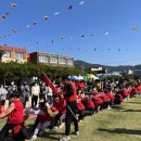 벌교초교 이미지