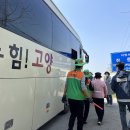 고양화전15 이미지