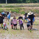 대덕초교 이미지