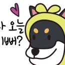 온 동물병원 이미지