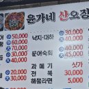 윤가네산오징어 티스토리