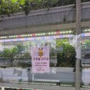 메조 스테이 이미지