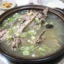 청둥이청둥오리 이미지