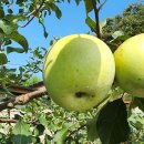 우신메디칼 이미지