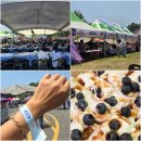 충남 서천 가볼만한곳 서천 블루베리 축제 체험
