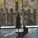 분당-81 | 분당 헤어스파 마사지 ‘효스파’ 엄마와 내돈내산 데이트 (솔직 후기)