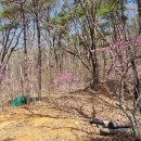 소석농장 이미지