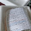 사맛디디저트