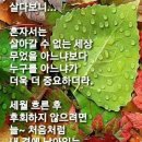 중앙로주유소 이미지