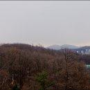 대곶초등학교 이미지