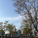 울산 태화동 맛집 소고기,돼지고기대패로 무한리필로 즐기는 엉터리무한대패 태화점