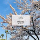 삼성혈 인근 공영주차장 티스토리